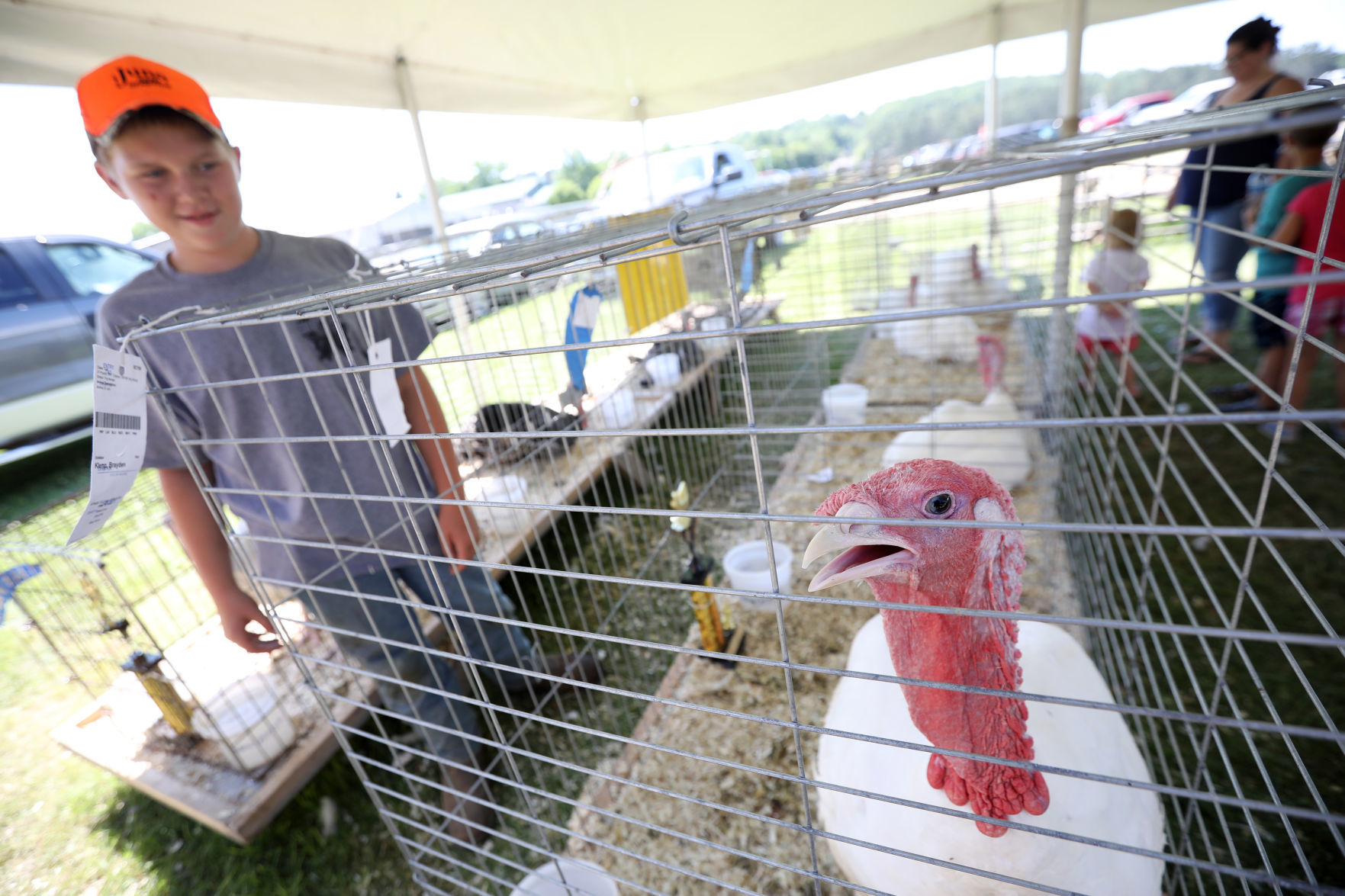 Sauk County Fair
